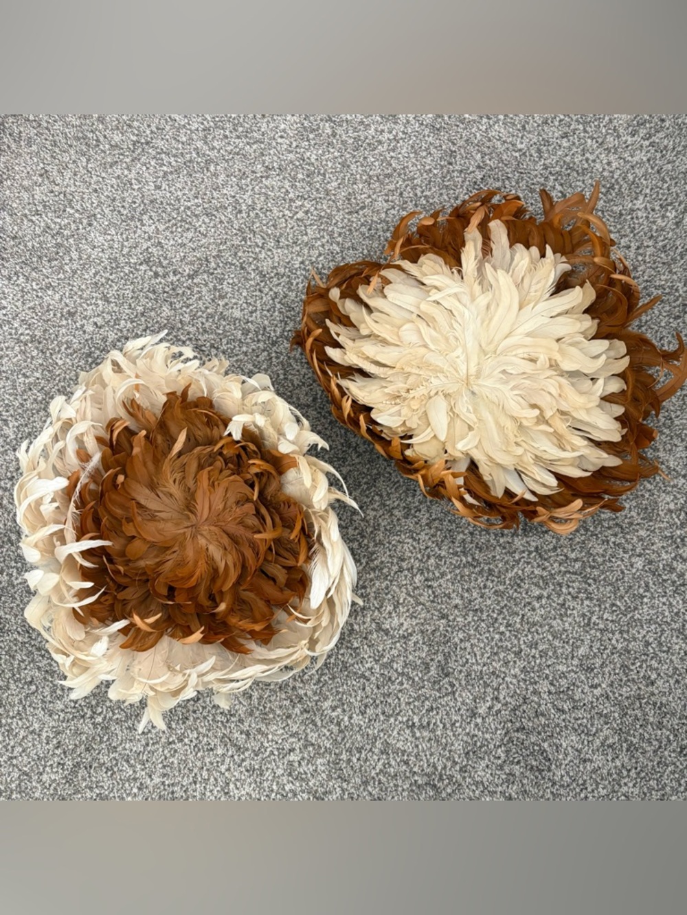 Decorative Feather Wall Accent Set in Orange and Beige